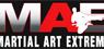 Martial Art Extreme logo